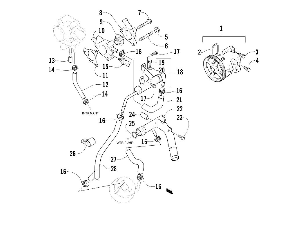 Water pump and thermostat assemblies