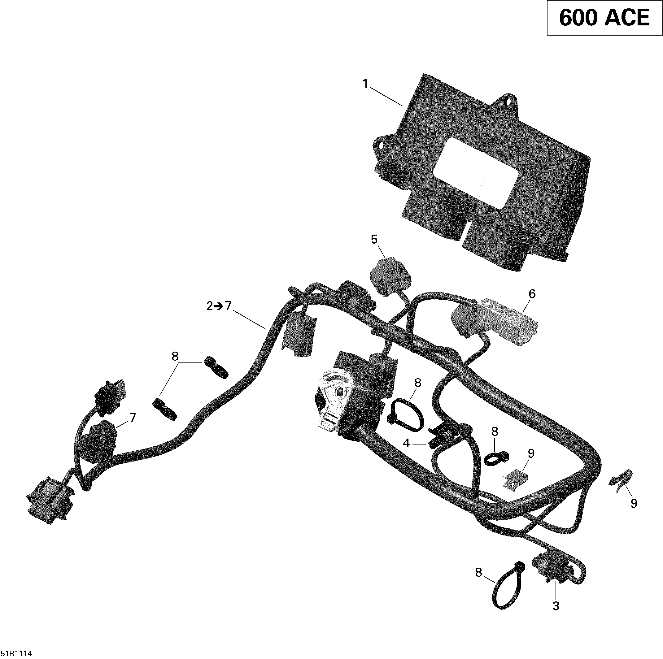 Engine harness and electronic module