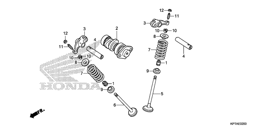 Camshaft & valve