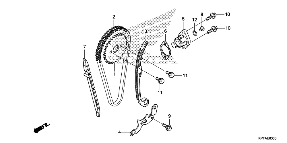 Cam chain & tensioner