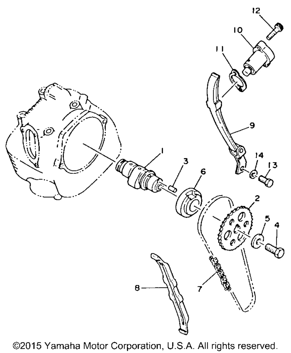 Camshaft chain