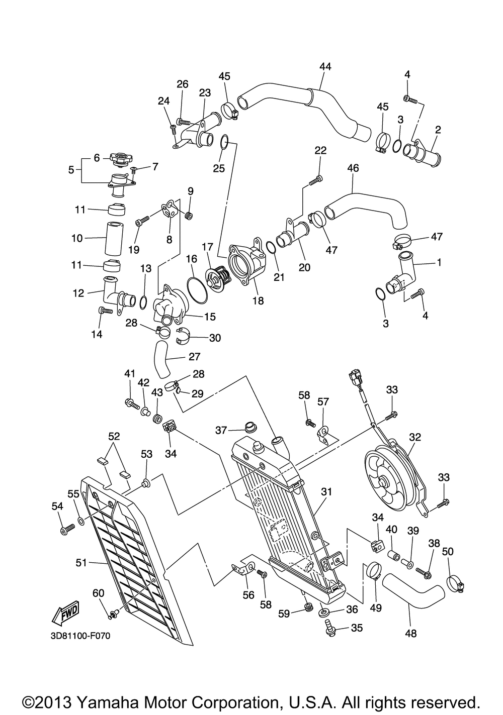 Radiator hose