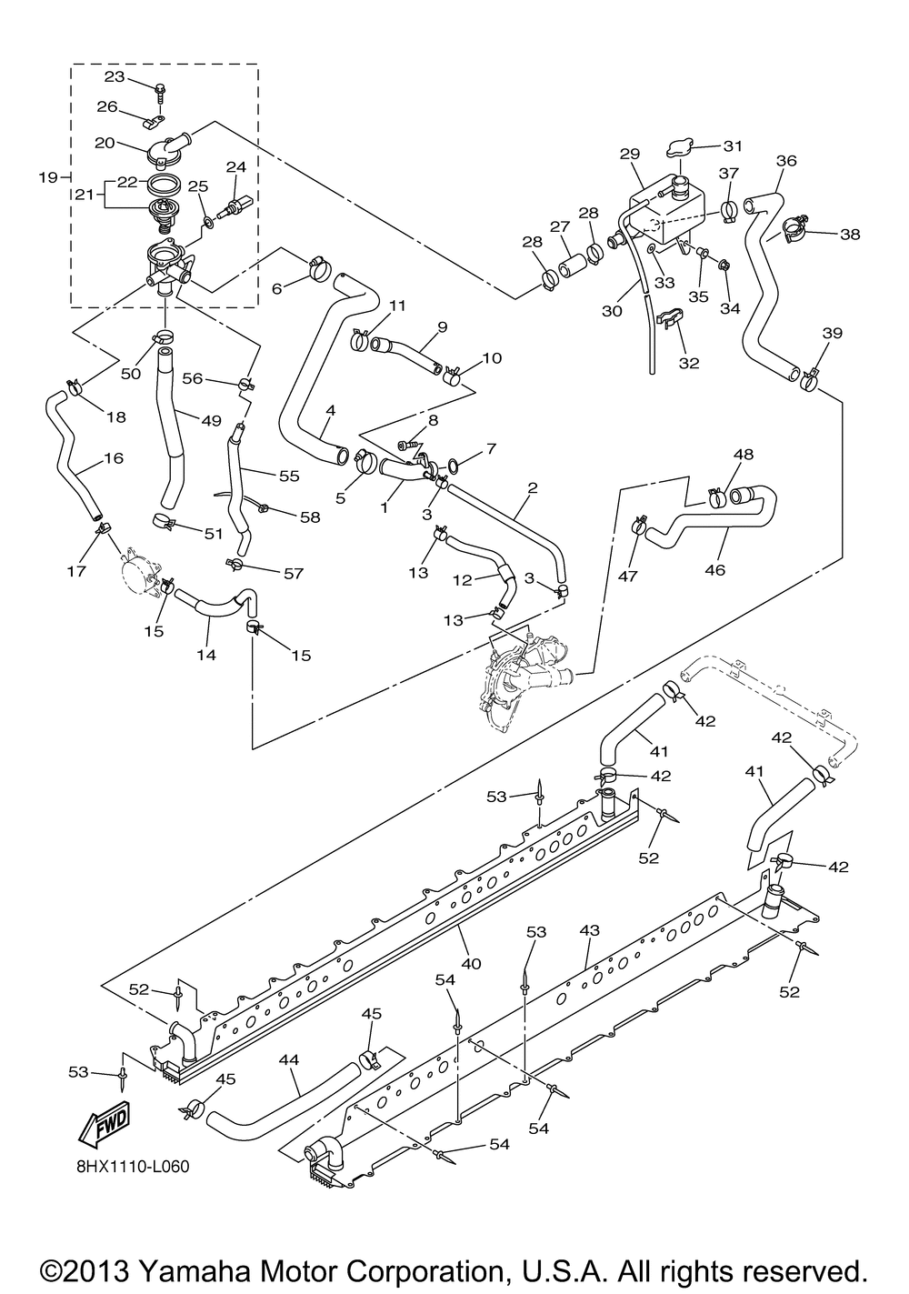 Radiator hose