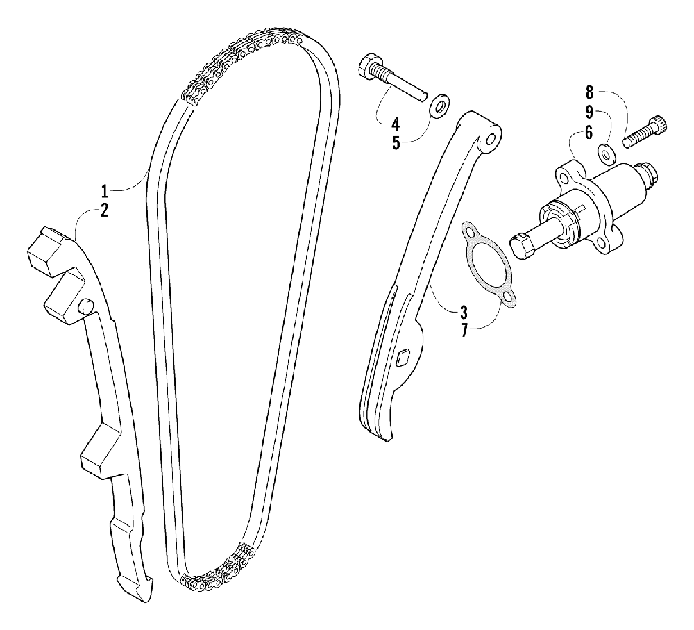 Cam chain assembly