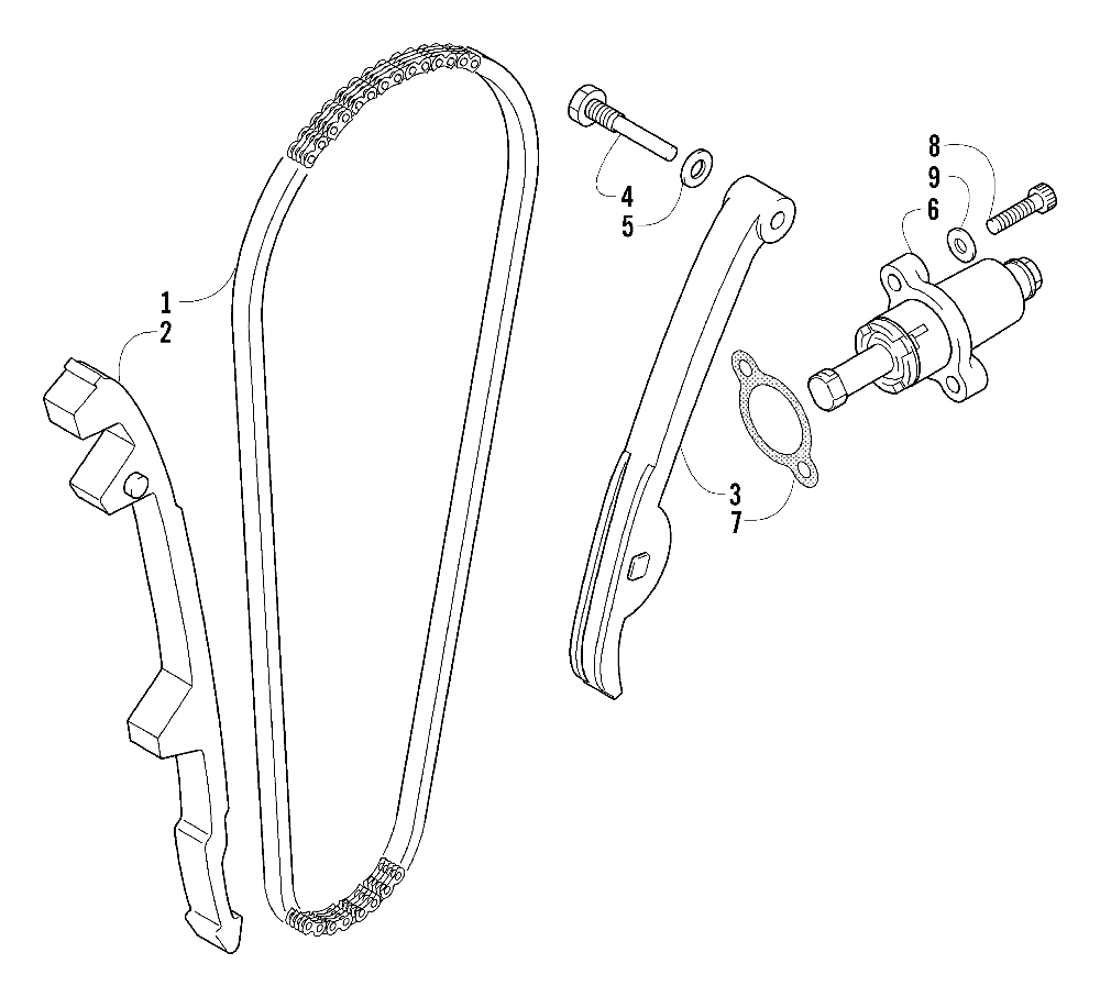 Cam chain assembly