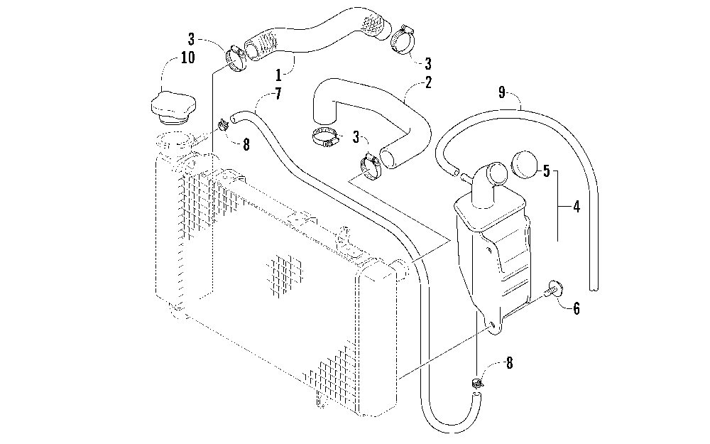 Radiator hose assembly