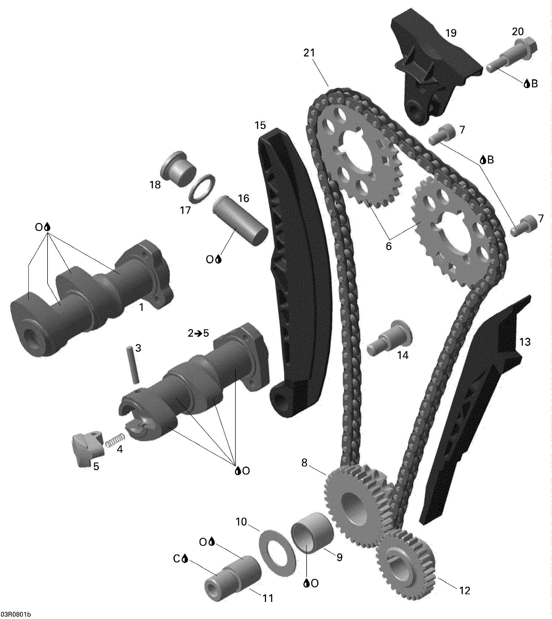 Camshaft and timing chain