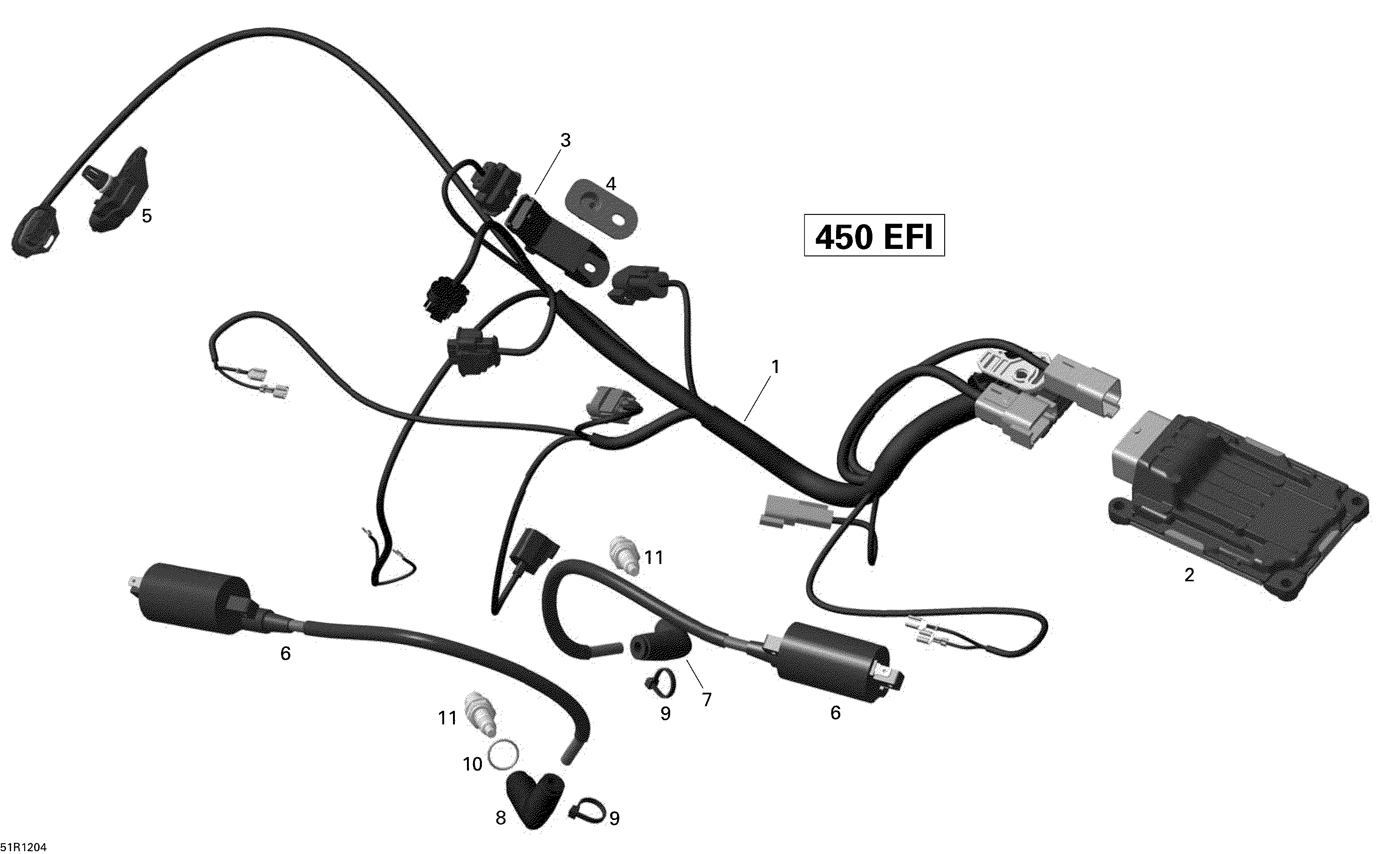 Engine harness and electronic module