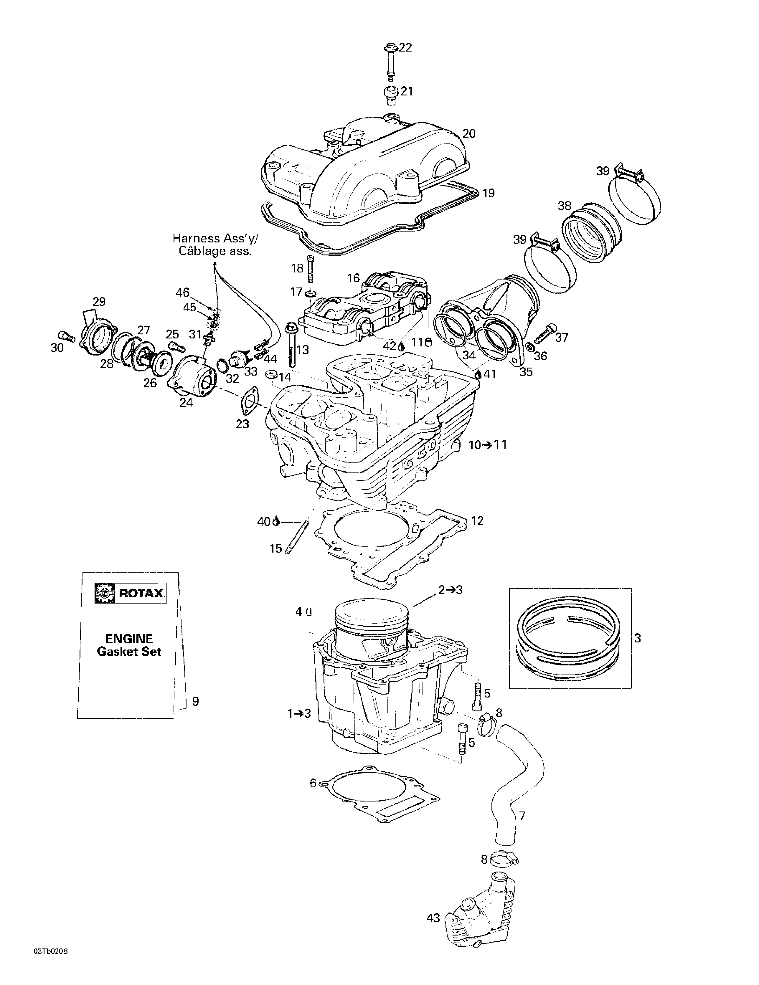 Cylinder, cylinder head