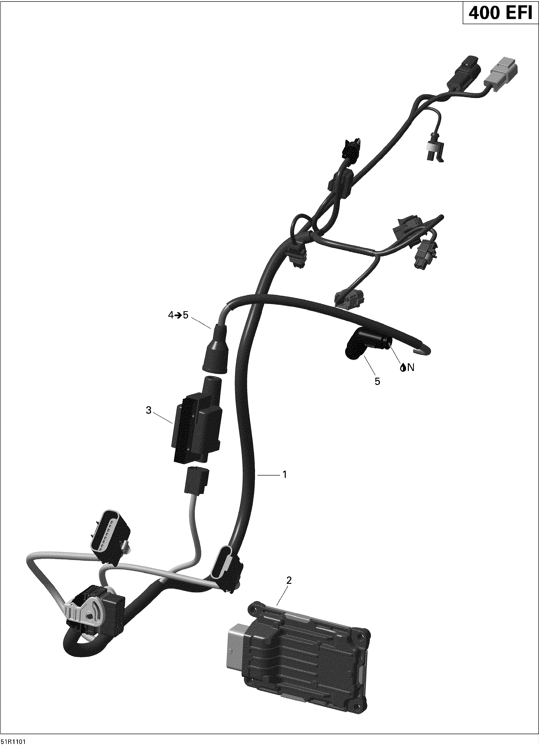 Engine harness and electronic module