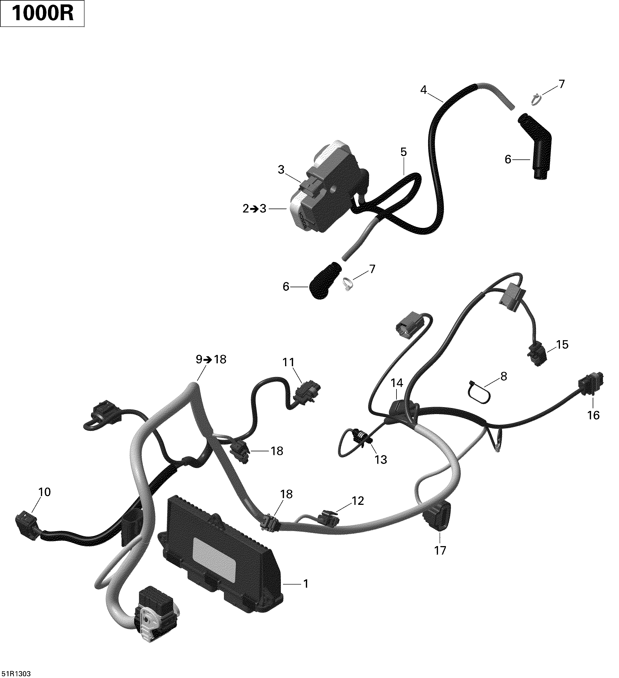 Engine harness and electronic module