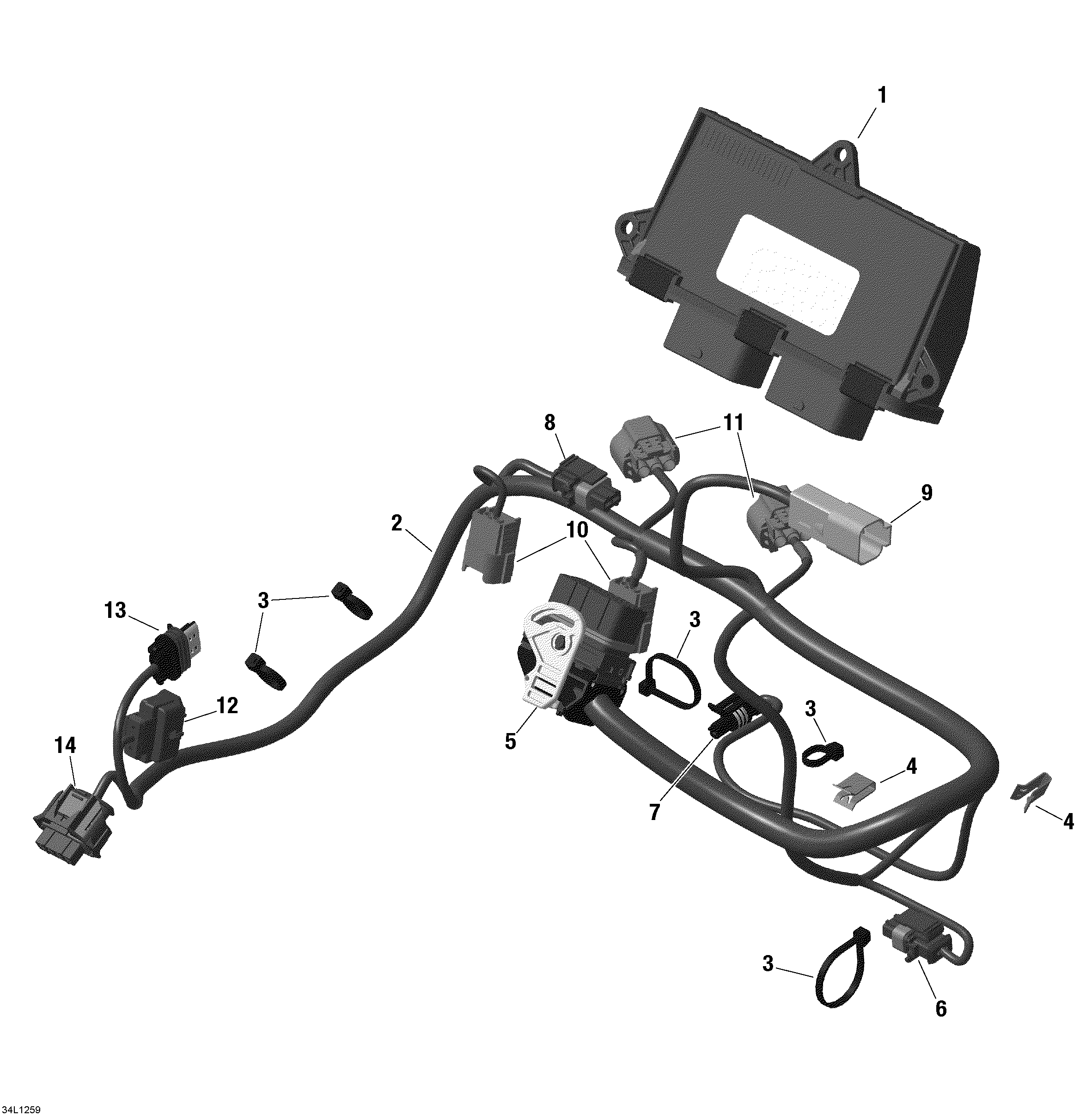 Engine harness and electronic module