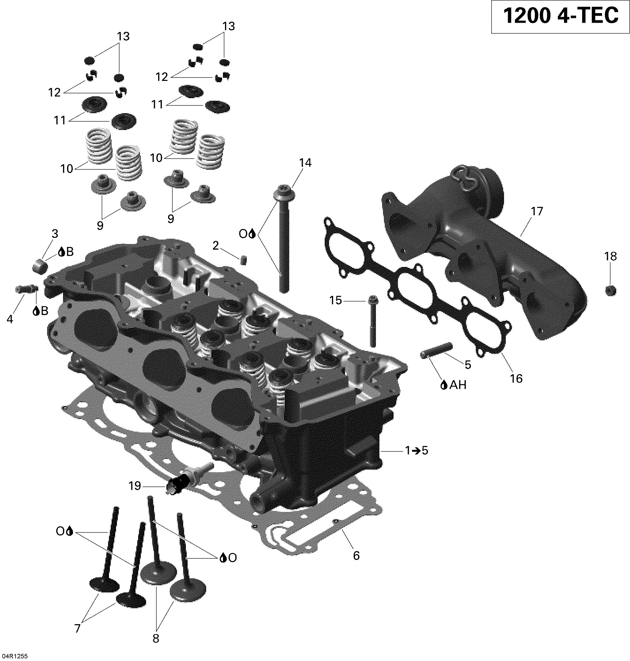 Cylinder head and exhaust manifold