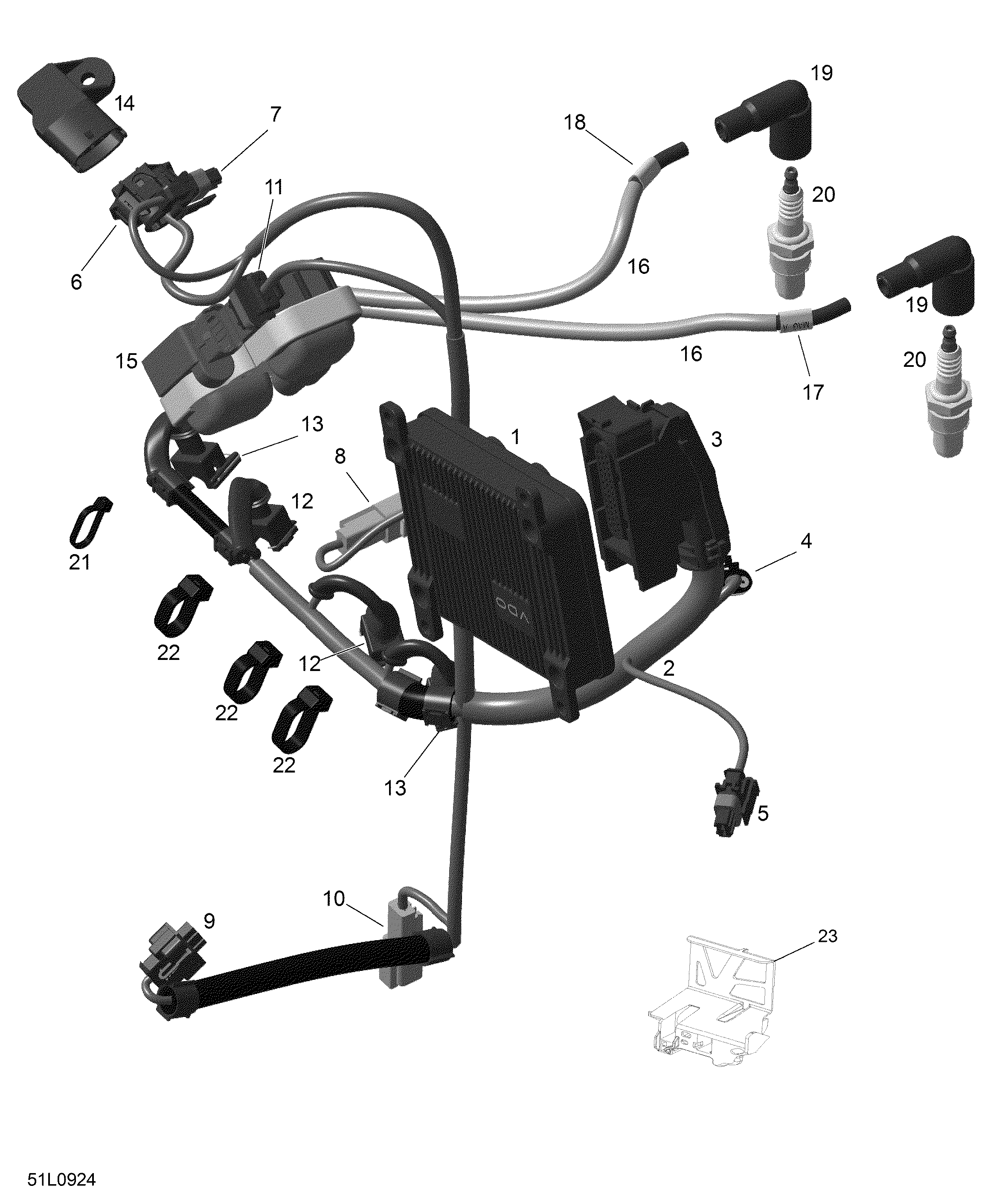 Engine harness and electronic module