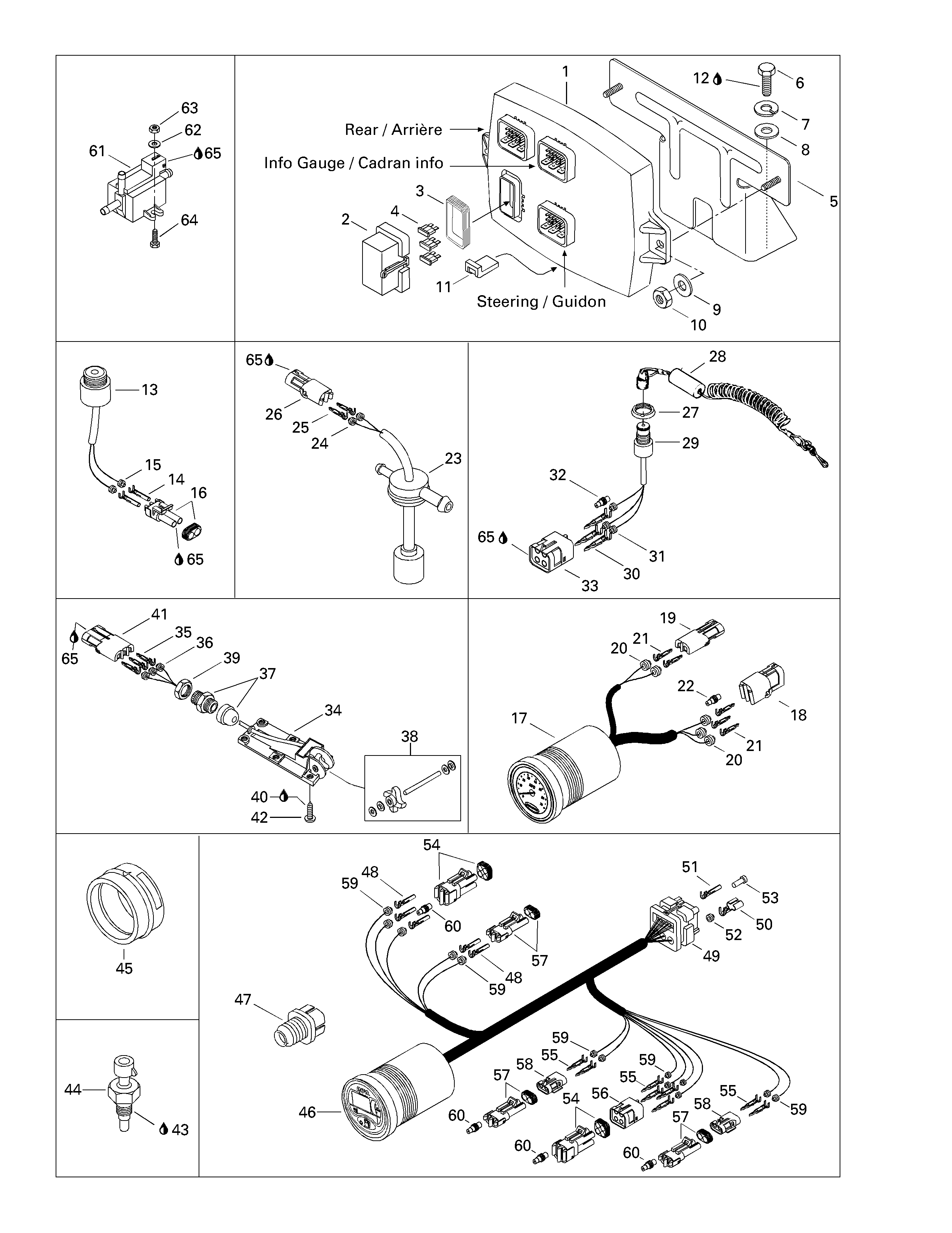 Electronic module and electrical accessories