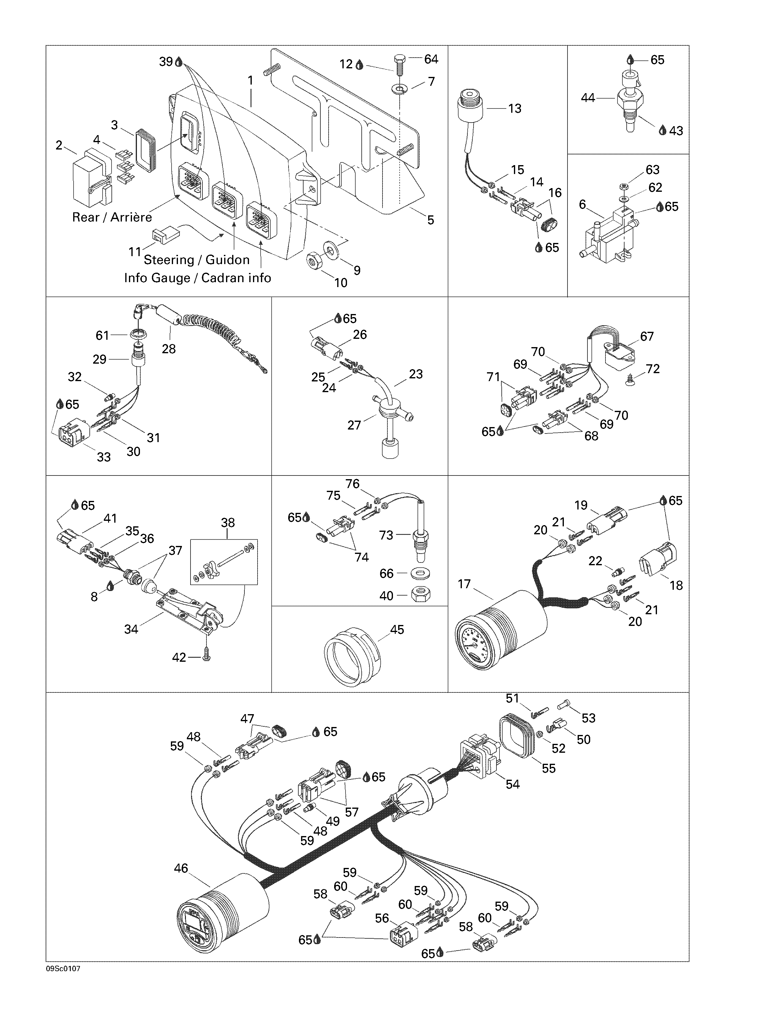 Electronic module and electrical accessories