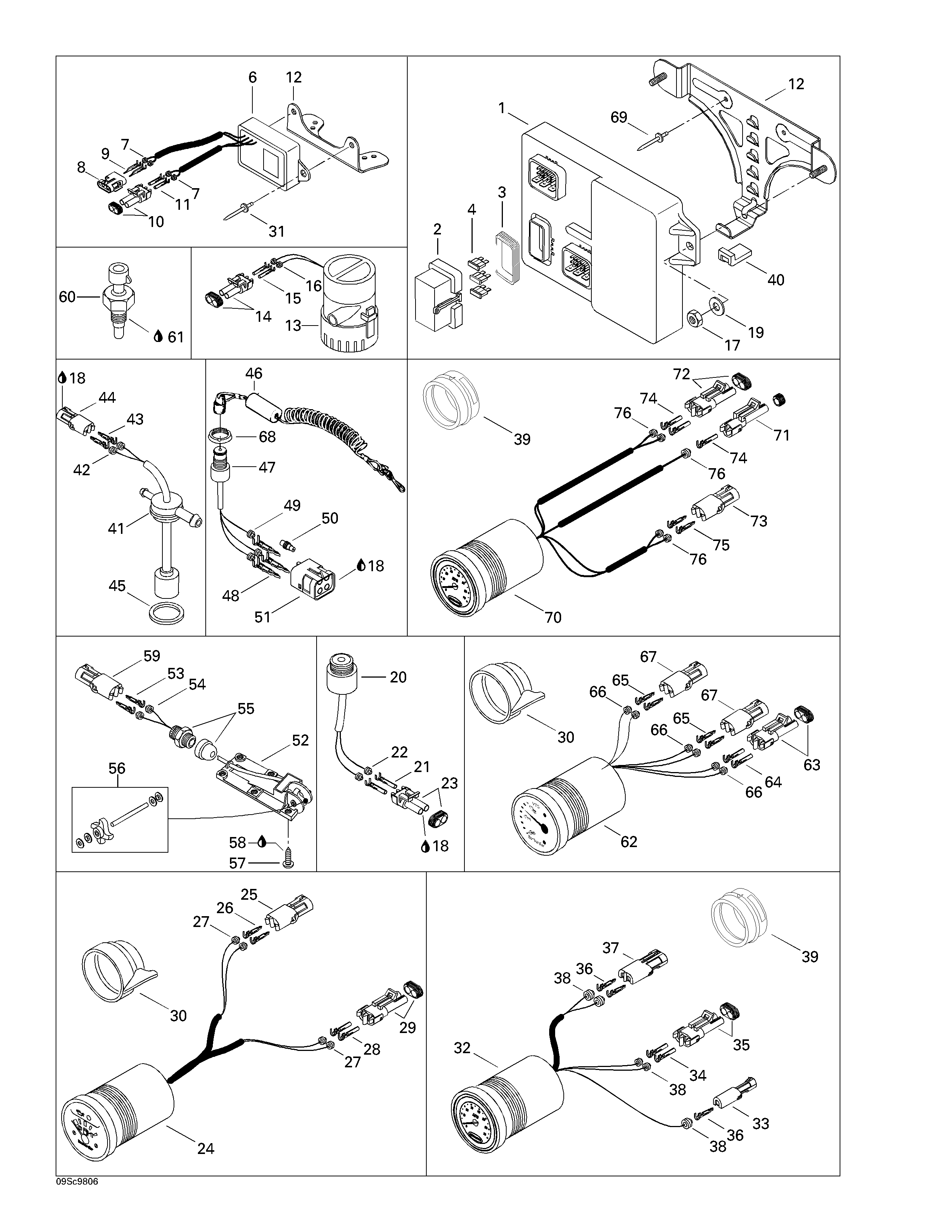 Electronic module and electrical accessories