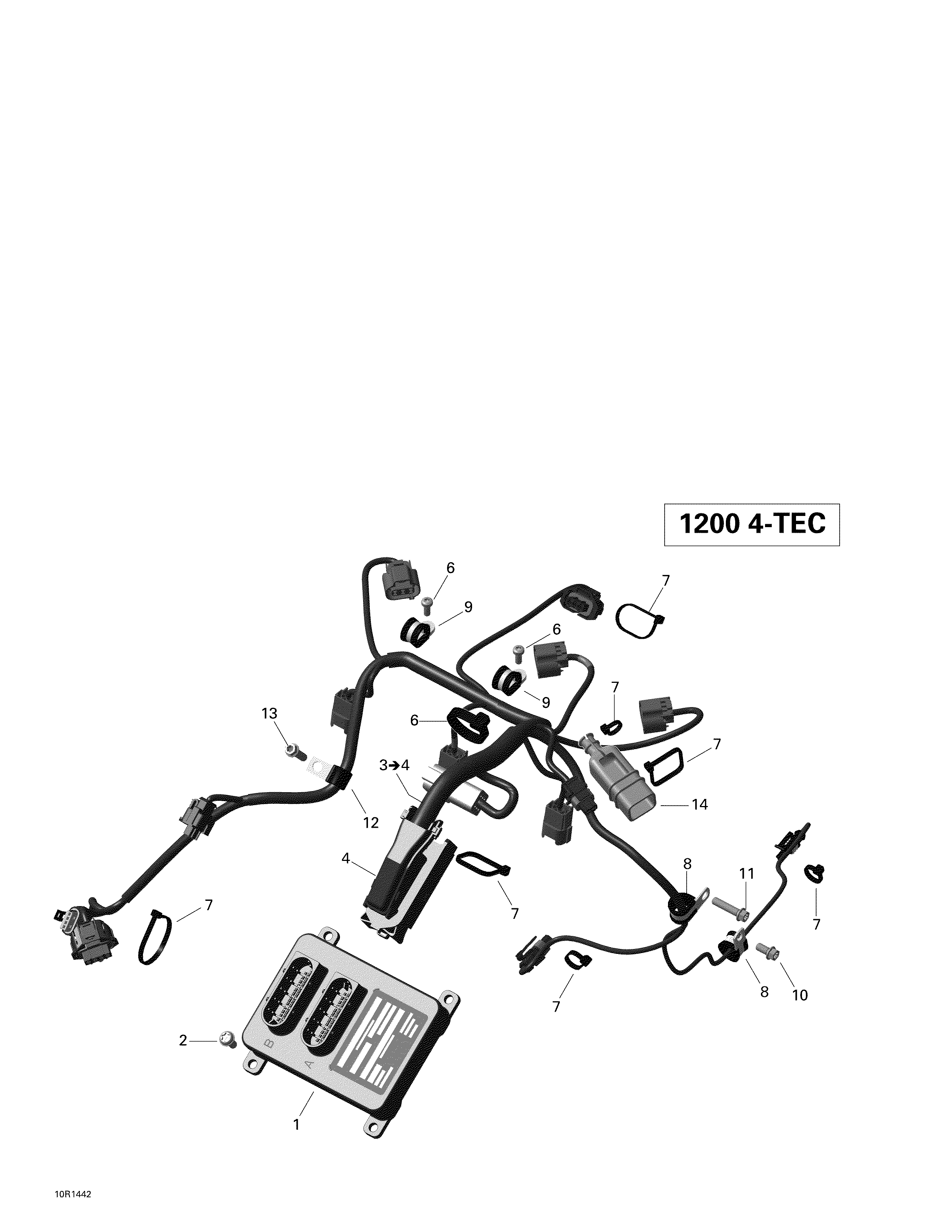 Engine harness and electronic module