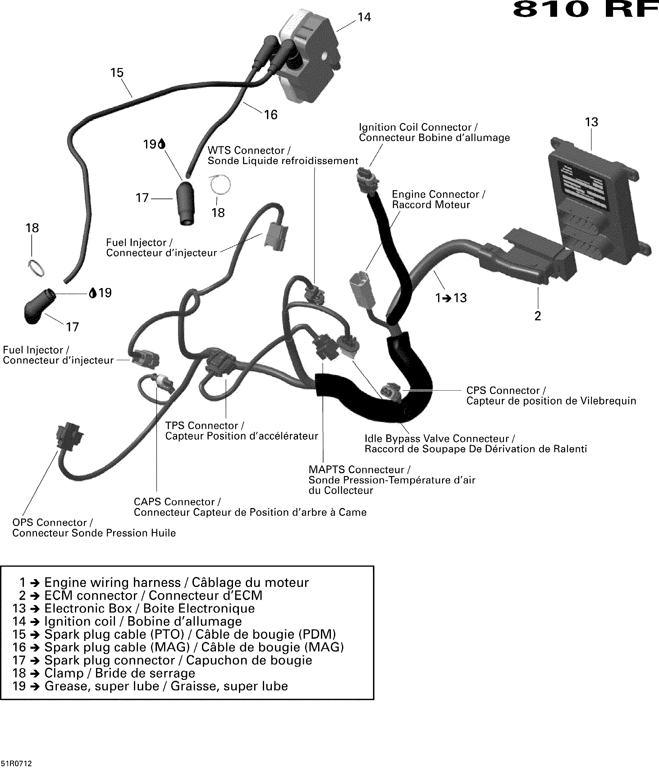 Engine harness and electronic module