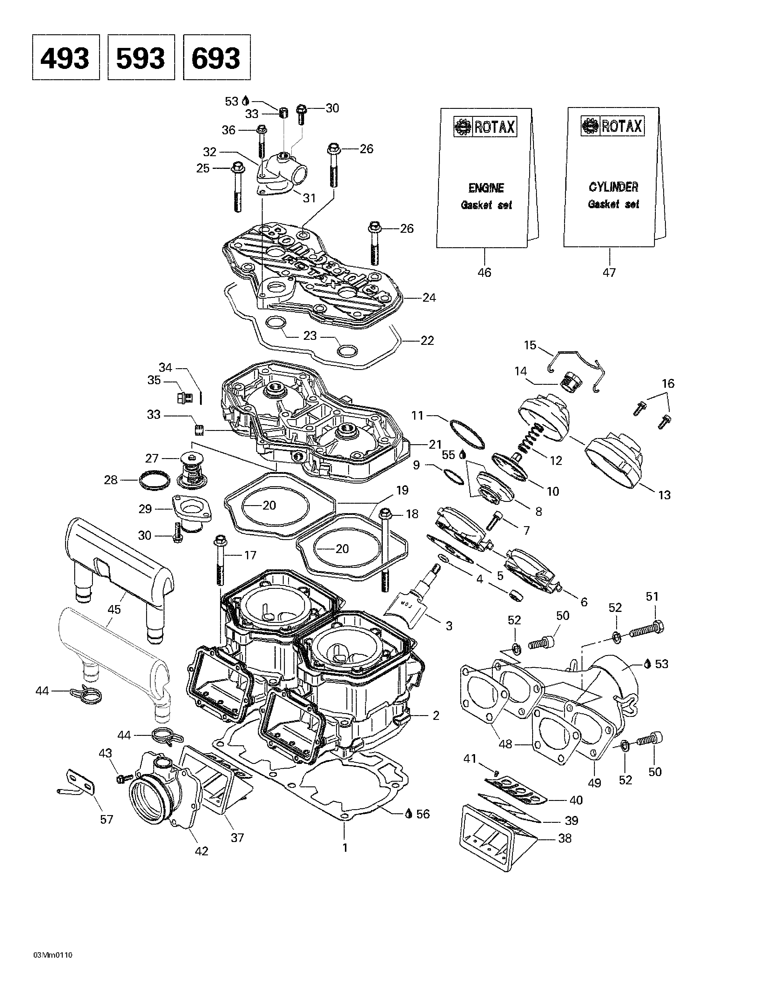 Cylinder, exhaust manifold, reed valve
