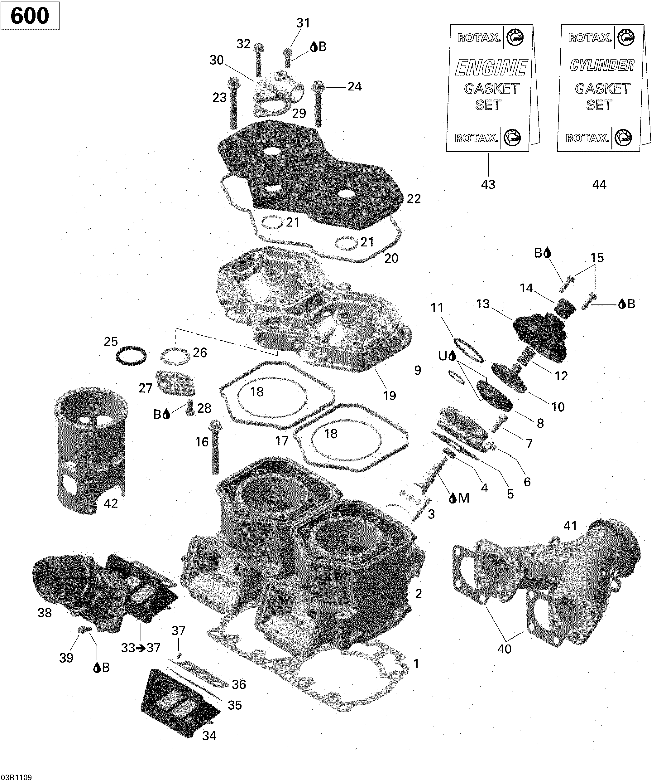 Cylinder and cylinder head