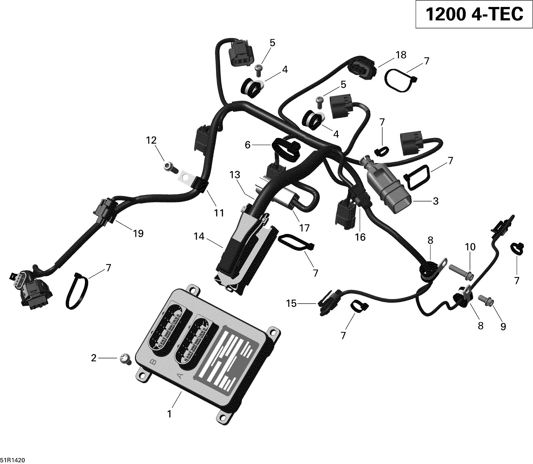 Engine harness and electronic module