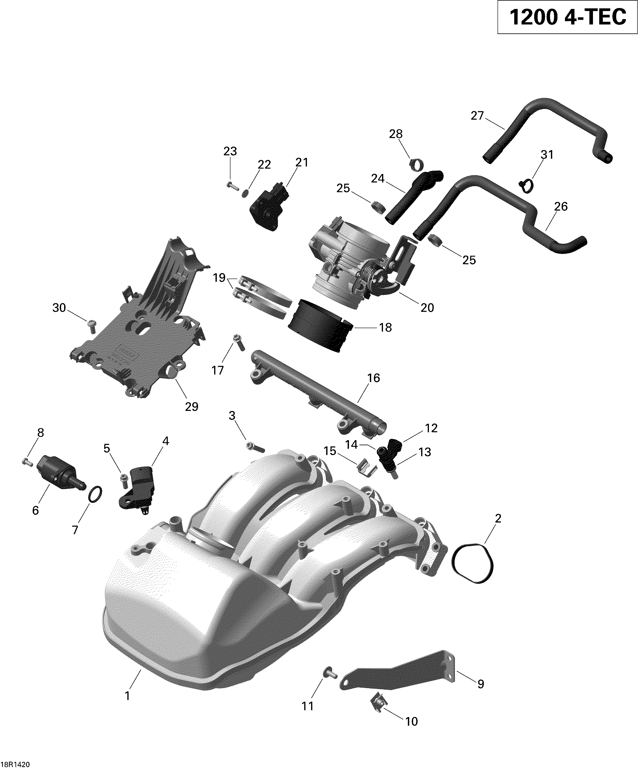 Air intake manifold and throttle body 1