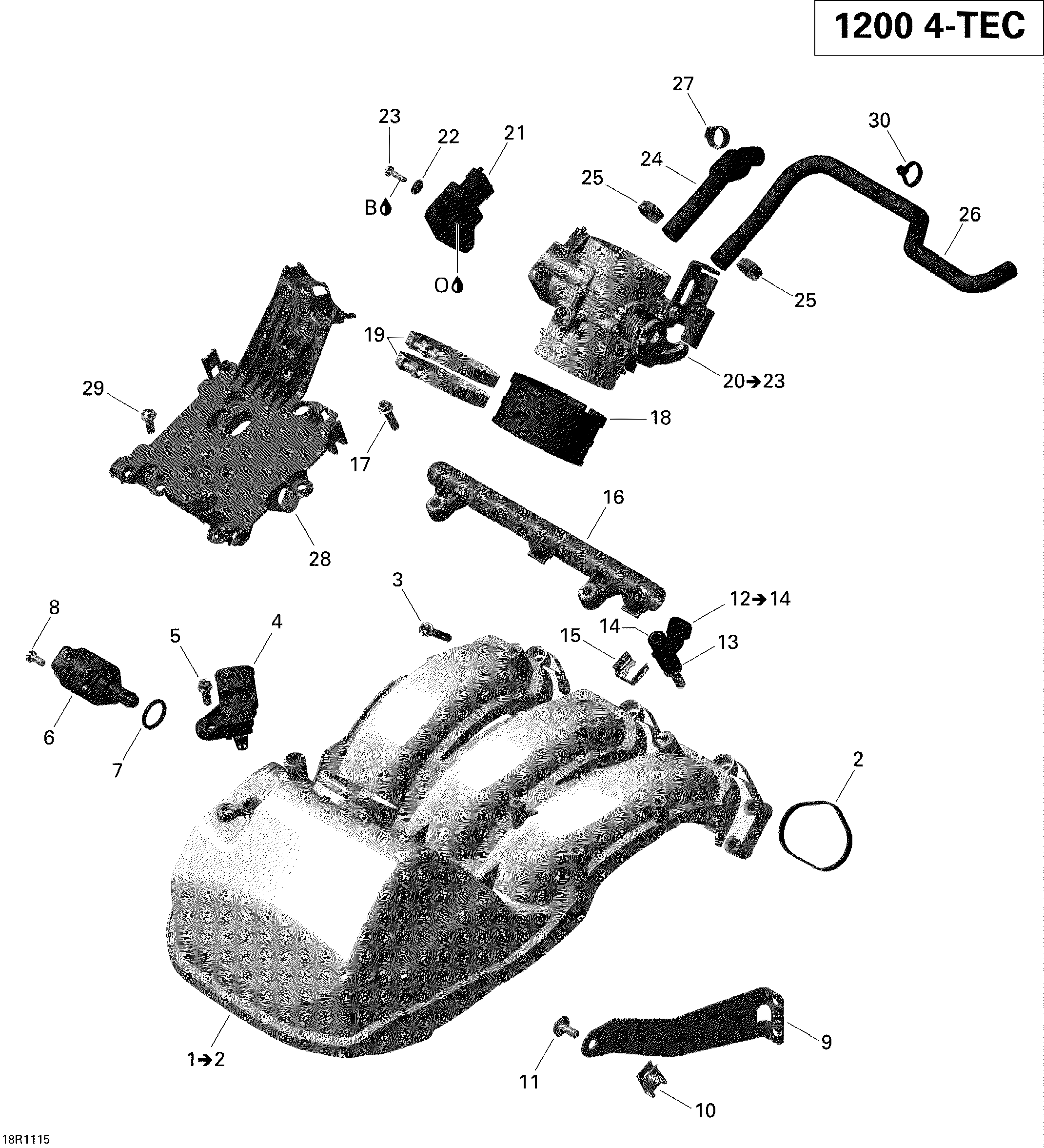 Air intake manifold and throttle body