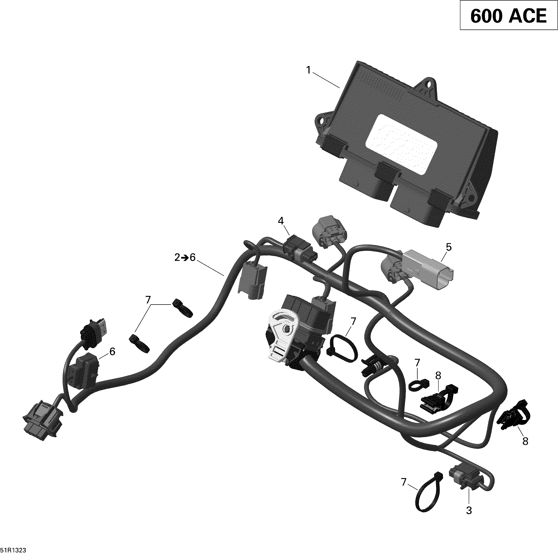 Engine harness and electronic module