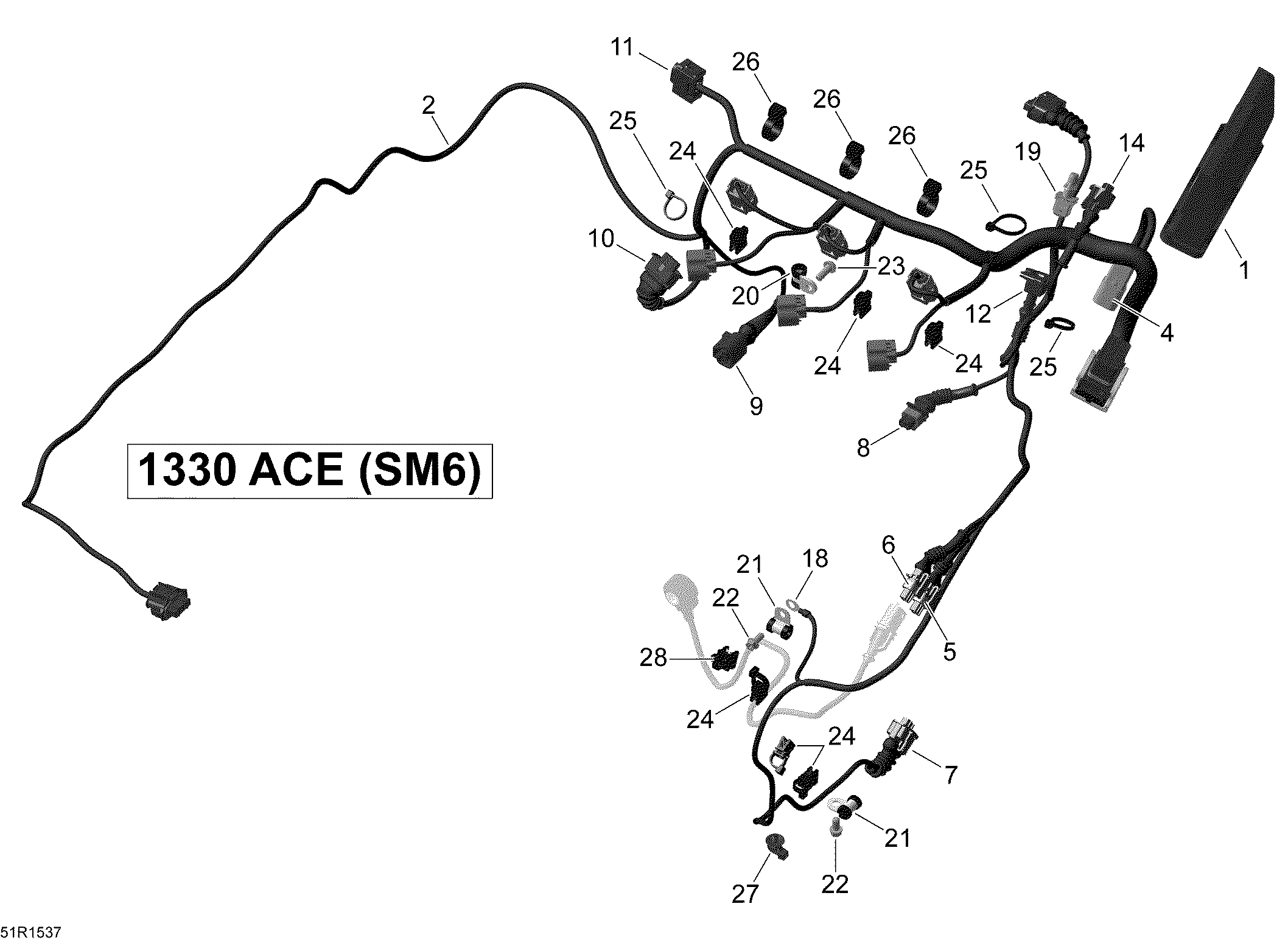 Engine harness and electronic module _51r1537