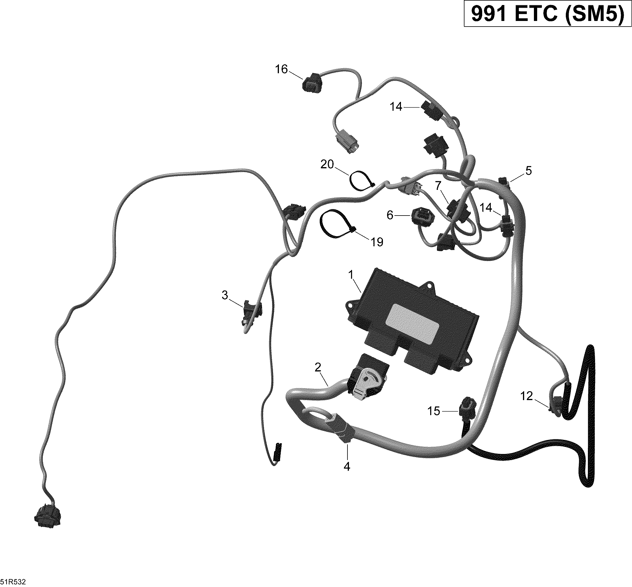 Engine harness and electronic module _51r1532