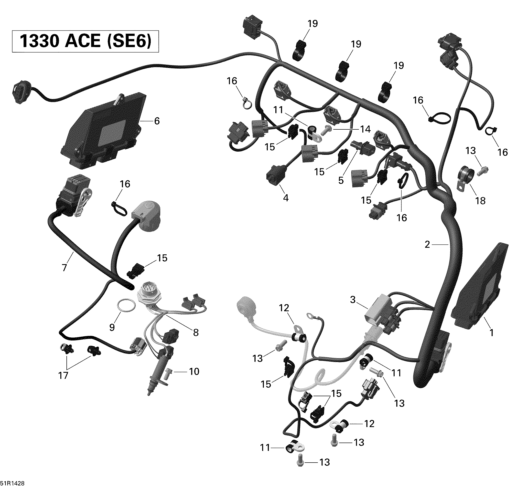 Engine harness and electronic module