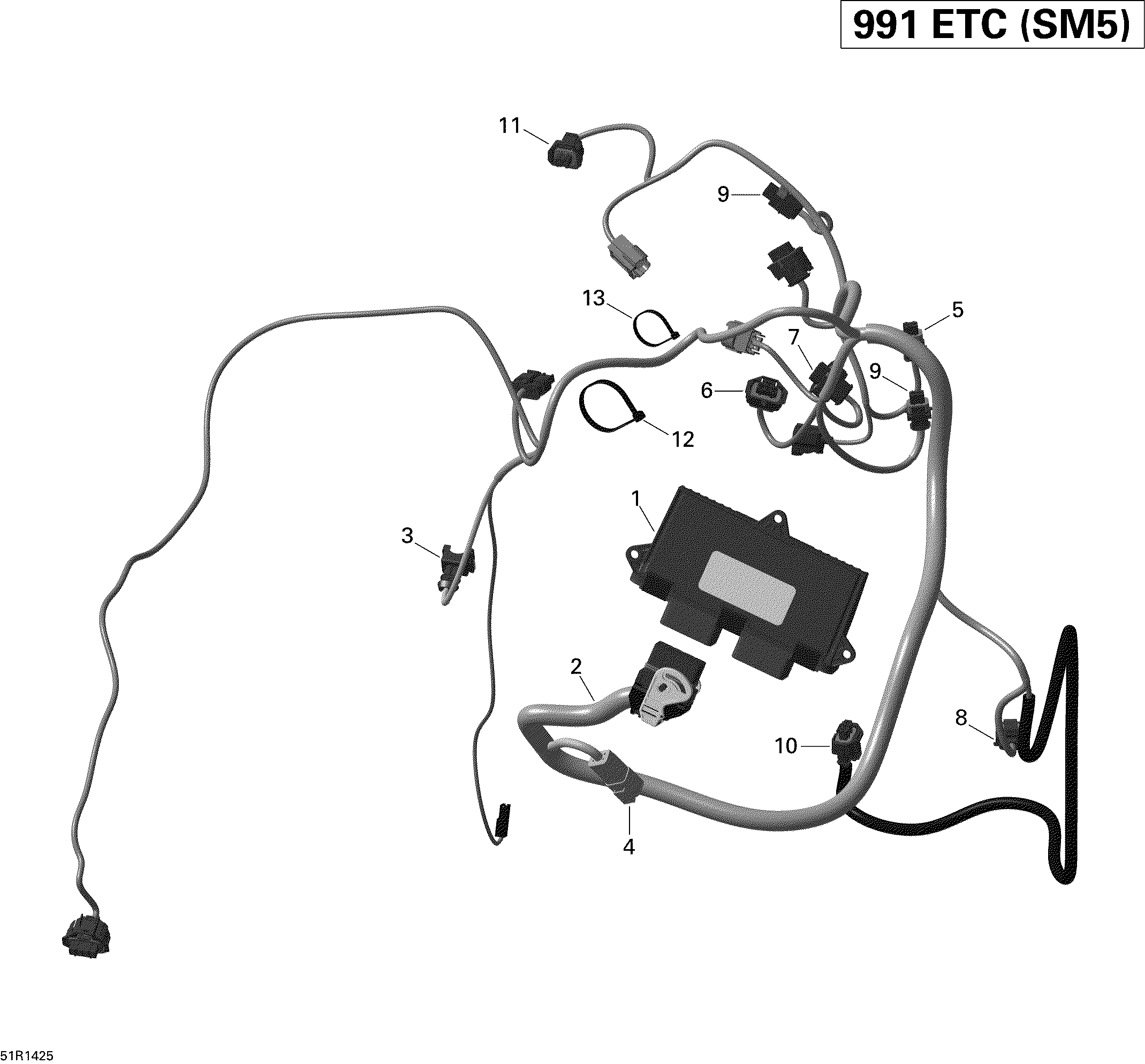 Engine harness and electronic module