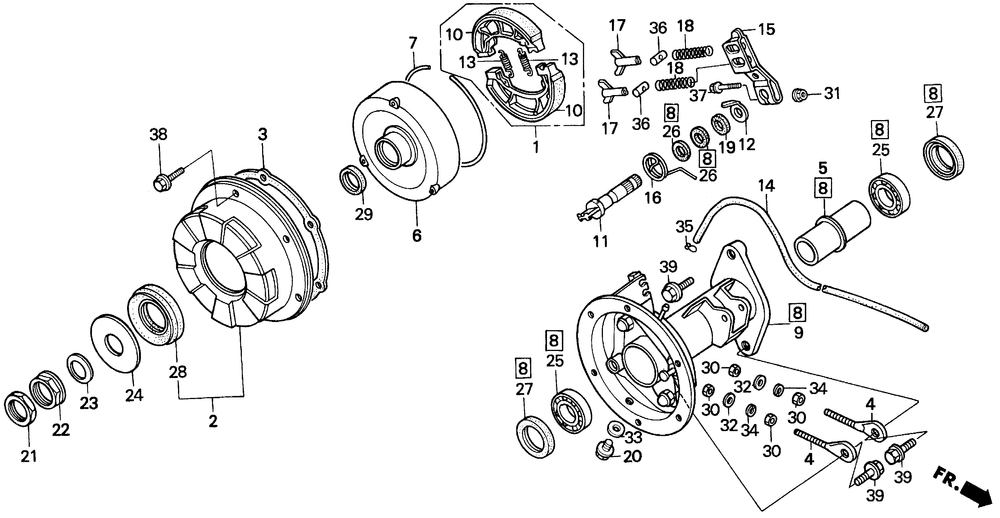 Rear brake drum