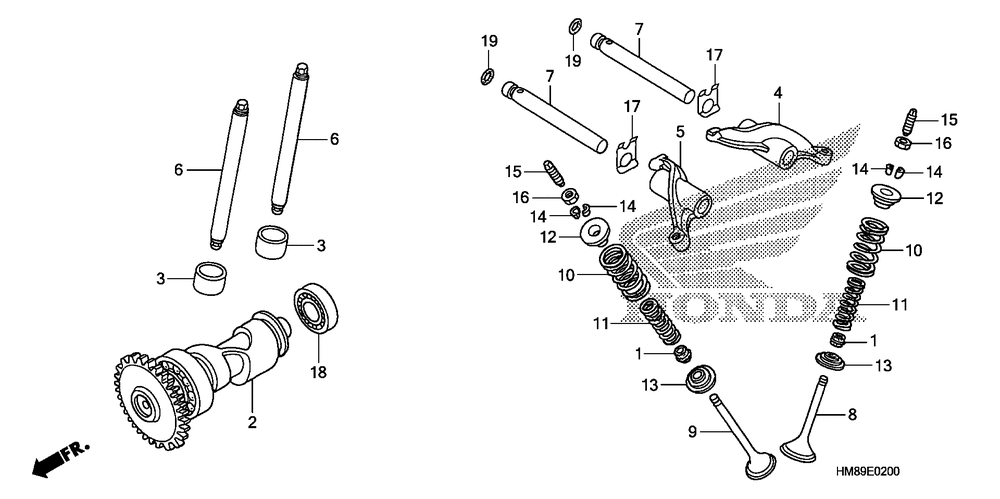 Camshaft & valve