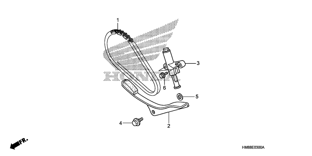 Cam chain & tensioner