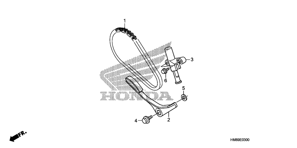 Cam chain & tensioner