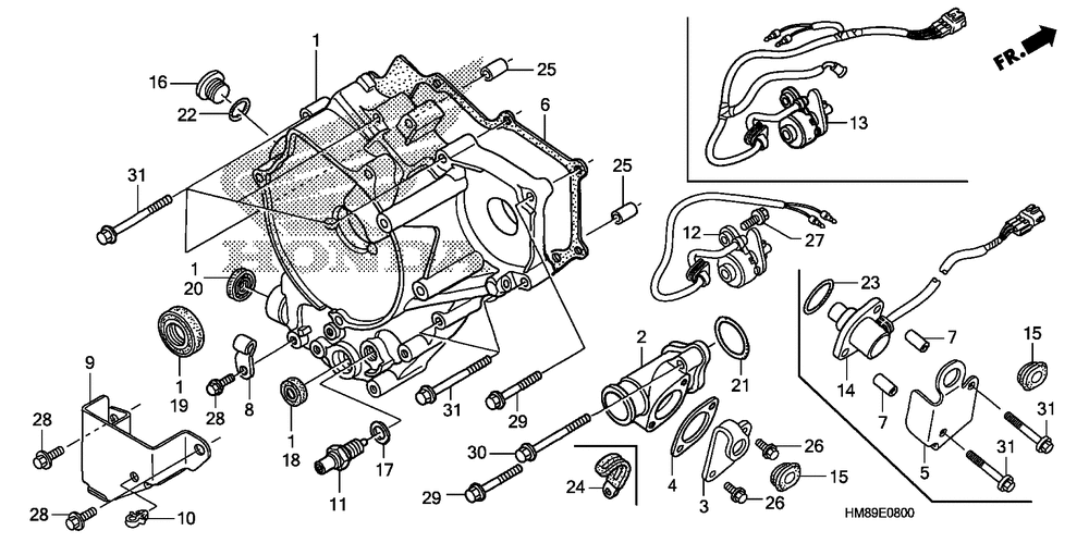 Rear crankcase cover