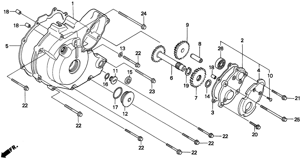 300 left crankcase cover