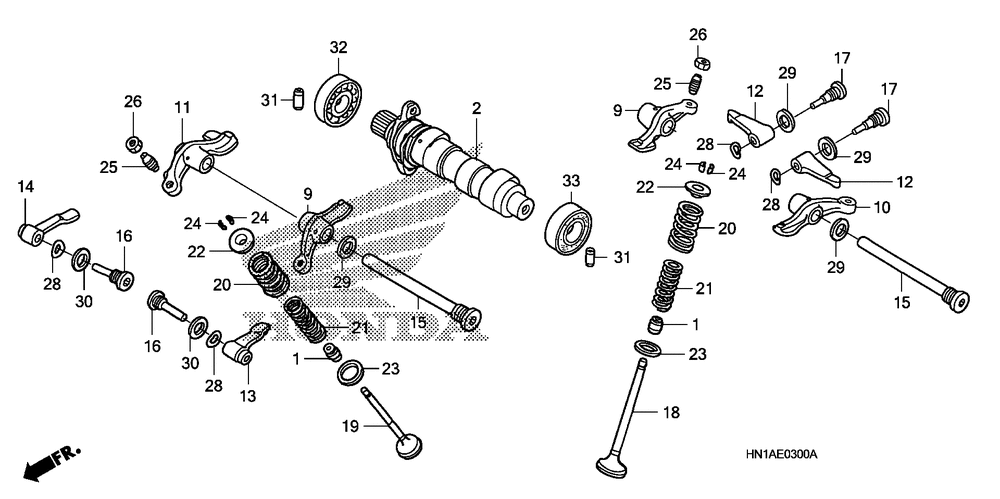 Camshaft & valve