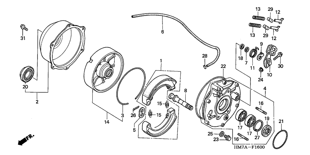 Rear brake panel