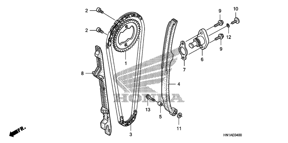 Cam chain & tensioner