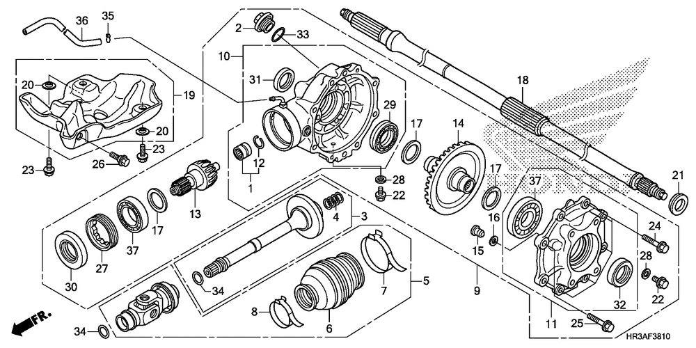 Rear final gear