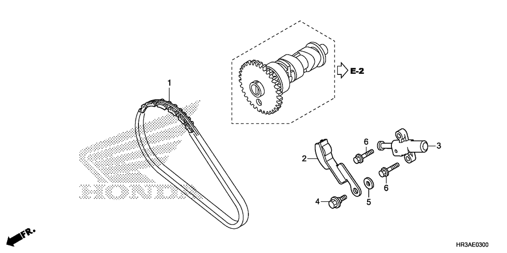 Cam chain & tensioner