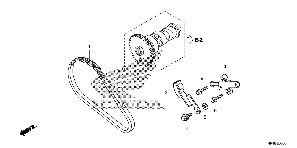 Cam chain & tensioner