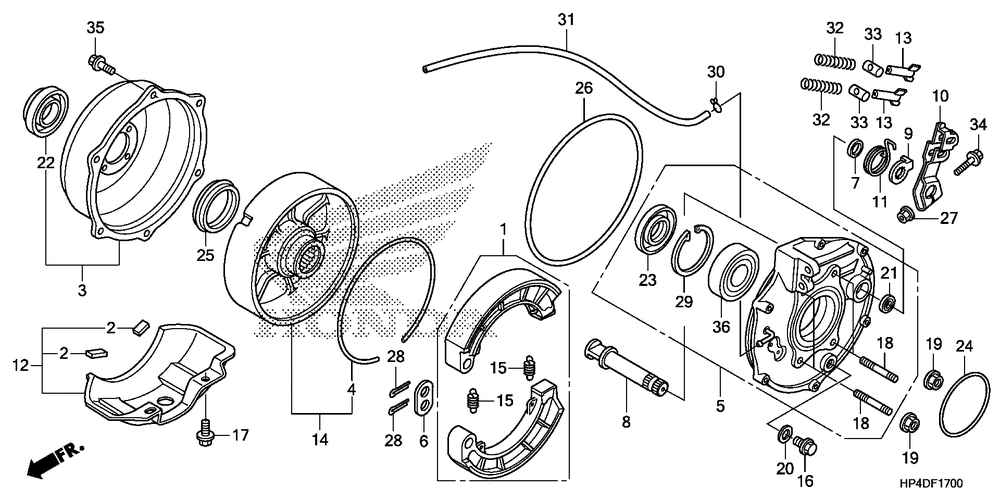 Rear brake panel