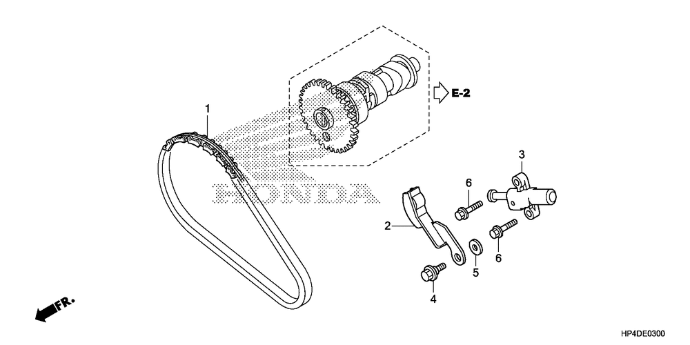 Cam chain & tensioner