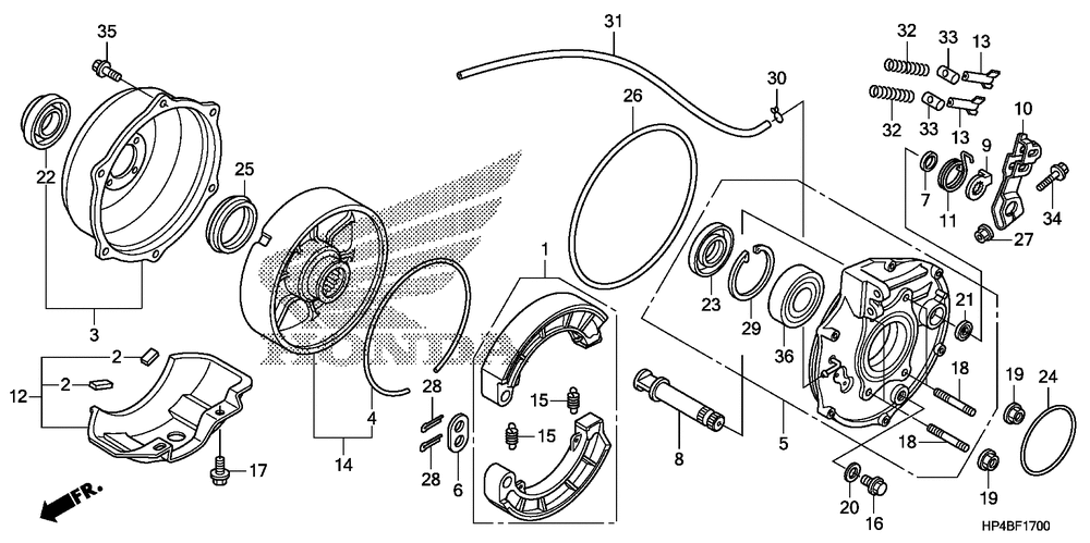 Rear brake panel