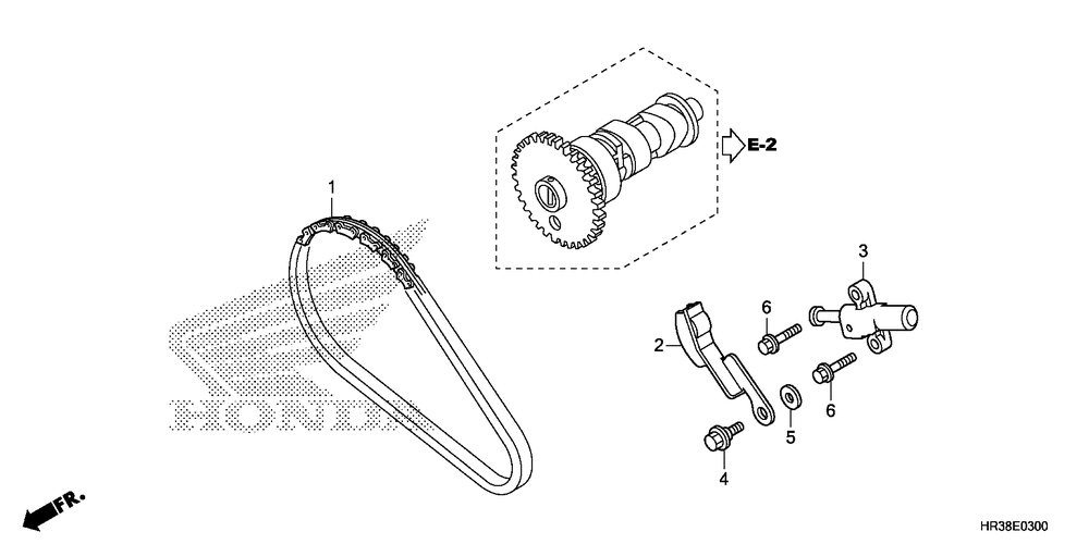 Cam chain & tensioner