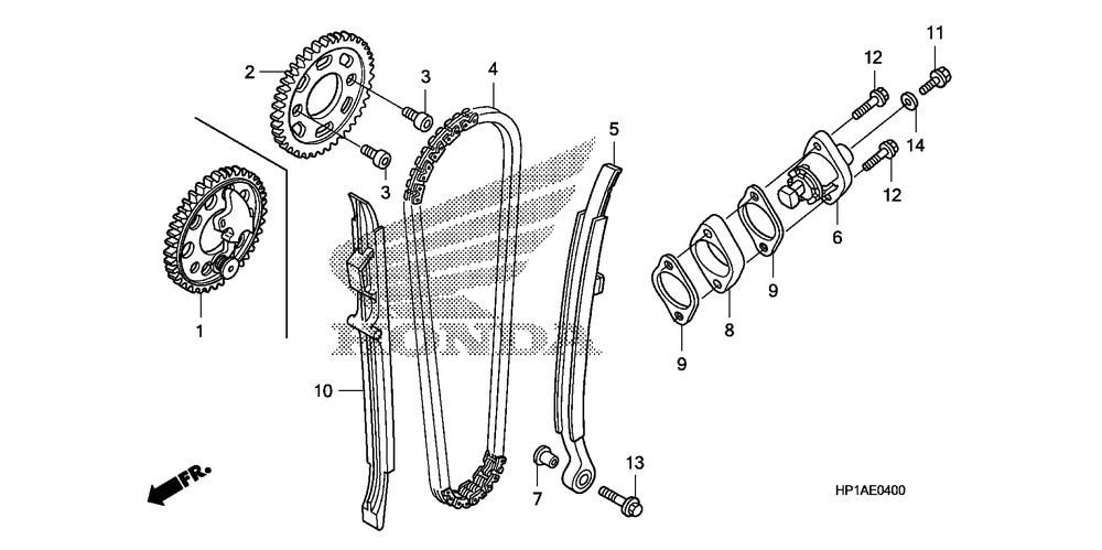 Cam chain & tensioner